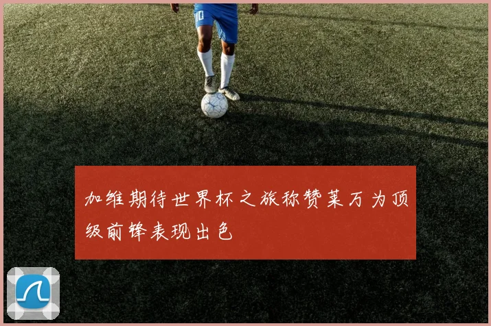 加维期待世界杯之旅称赞莱万为顶级前锋表现出色